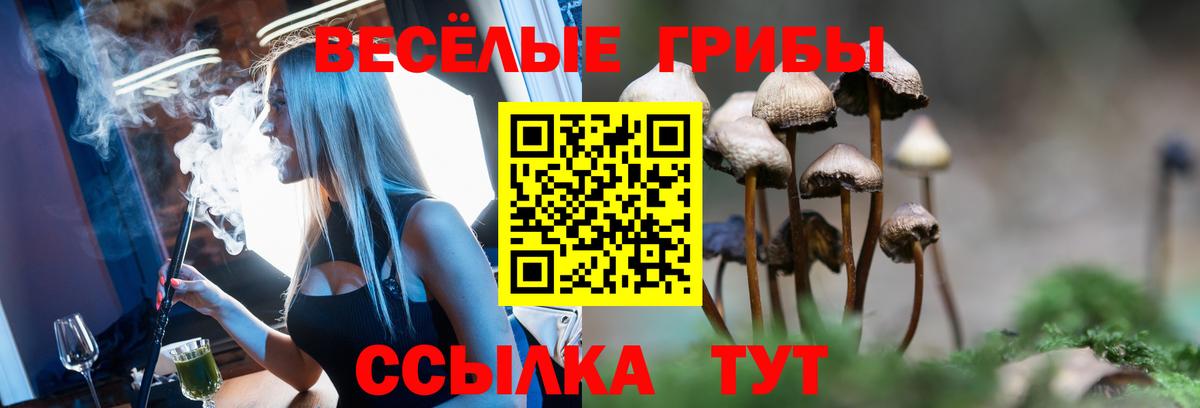 Галлюциногенные грибы Magic Shrooms Луховицы